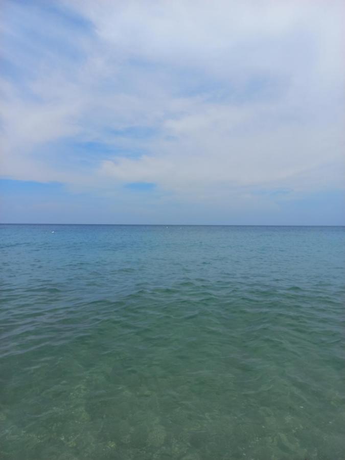 Magdalena Beach House 로스나란조스 외부 사진